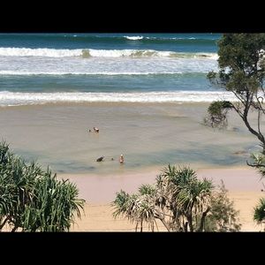 Meet your Posher, Loretta